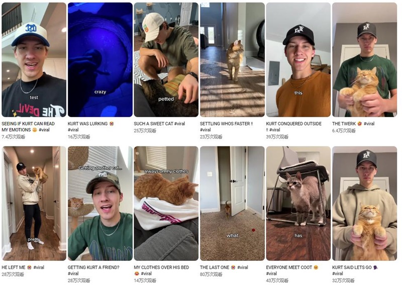 美国地区宠物用品出海网红博主带货