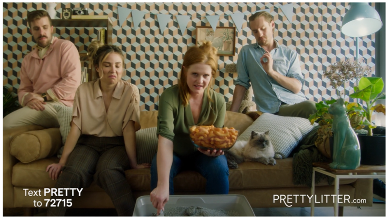 海外营销案例解析：稳住“毛孩子”，抓住钱袋子！